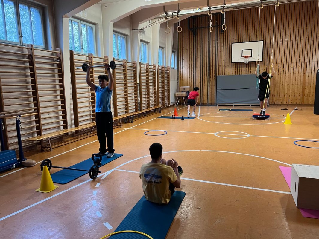 Image Cross-Training